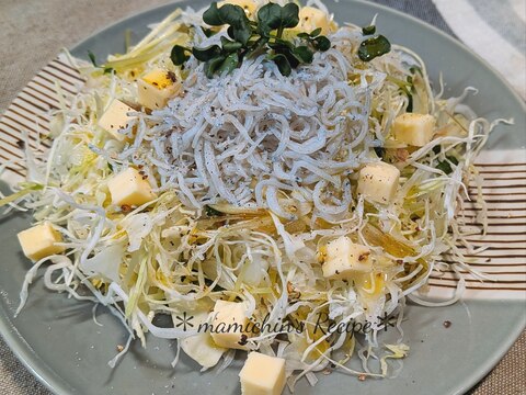 千切りキャベツとしらすのサラダ